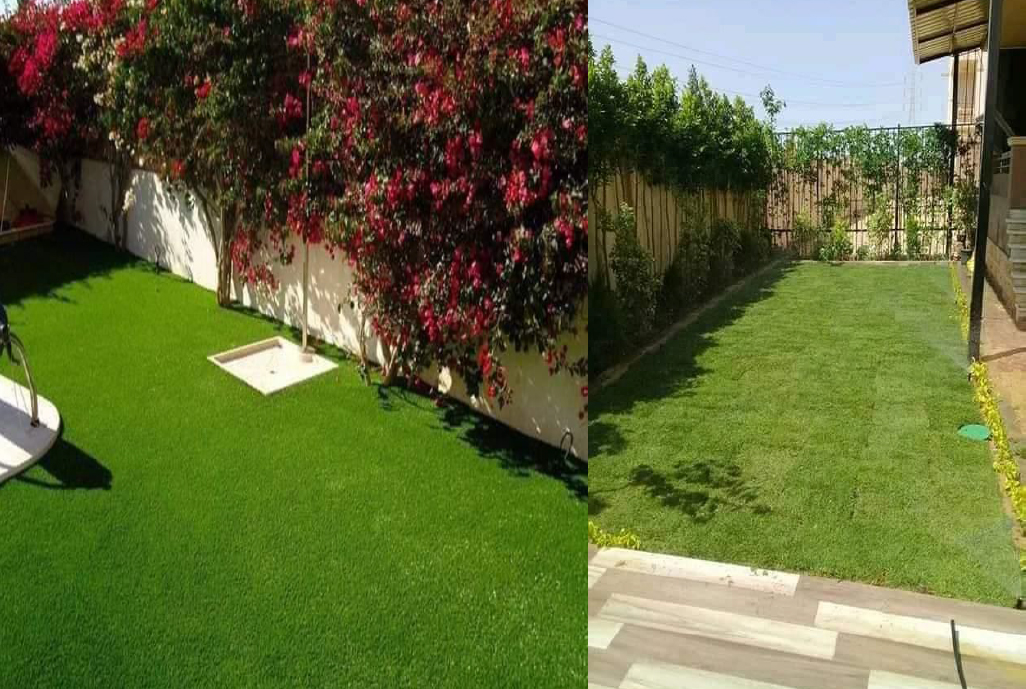 Landscape Work 2